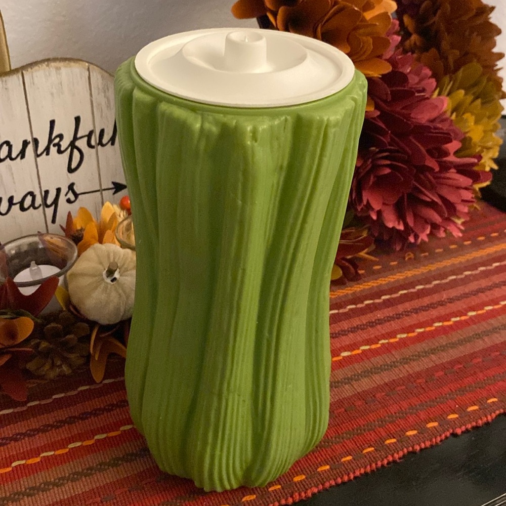 Vintage Celery Crisper Storage Container with Lid